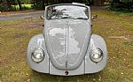 1968 Beetle Thumbnail 16