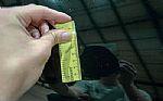 2004 Corvette Z06 Thumbnail 27
