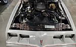 1979 Trans Am Thumbnail 46