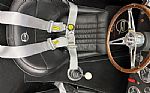 1965 Cobra Thumbnail 31