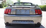 2002 Mustang GT Thumbnail 7