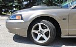 2002 Mustang GT Thumbnail 58