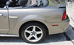 2002 Mustang GT Thumbnail 63