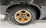 1981 Camaro Thumbnail 16