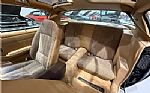 1981 Camaro Thumbnail 22