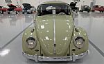 1960 Beetle Thumbnail 7