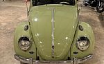 1960 Beetle Thumbnail 18