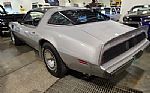 1979 Trans Am Thumbnail 12