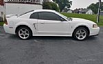 2001 Mustang SVT Cobra Thumbnail 1