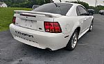 2001 Mustang SVT Cobra Thumbnail 2