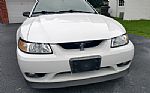 2001 Mustang SVT Cobra Thumbnail 5