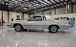 1980 Thunderbird Thumbnail 2