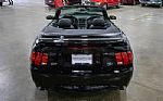 2004 Mustang GT Deluxe Thumbnail 6