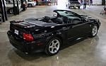 2004 Mustang GT Deluxe Thumbnail 8