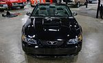 2004 Mustang GT Deluxe Thumbnail 12