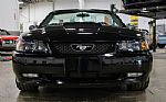 2004 Mustang GT Deluxe Thumbnail 13