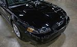 2004 Mustang GT Deluxe Thumbnail 14