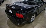 2004 Mustang GT Deluxe Thumbnail 16