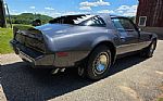 1980 Firebird Trans Am Thumbnail 5