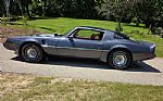1980 Firebird Trans Am Thumbnail 8