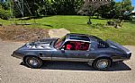 1980 Firebird Trans Am Thumbnail 11