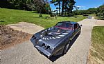1980 Firebird Trans Am Thumbnail 10