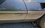 1980 Firebird Trans Am Thumbnail 34