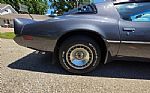 1980 Firebird Trans Am Thumbnail 37
