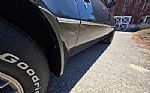 1980 Firebird Trans Am Thumbnail 40