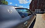 1980 Firebird Trans Am Thumbnail 43