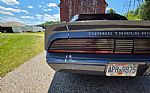 1980 Firebird Trans Am Thumbnail 50