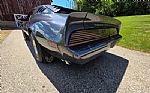 1980 Firebird Trans Am Thumbnail 51