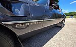 1980 Firebird Trans Am Thumbnail 67