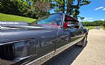 1980 Firebird Trans Am Thumbnail 69