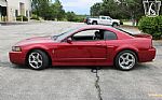 2003 Mustang SVT Cobra Thumbnail 22