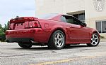 2003 Mustang SVT Cobra Thumbnail 28