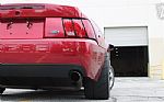 2003 Mustang SVT Cobra Thumbnail 55