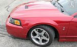2003 Mustang SVT Cobra Thumbnail 56