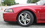 2003 Mustang SVT Cobra Thumbnail 57