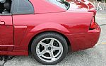 2003 Mustang SVT Cobra Thumbnail 62