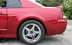 2003 Mustang SVT Cobra Thumbnail 63