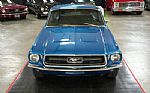 1967 Mustang Fastback Thumbnail 17