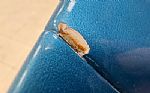 1967 Impala Convertible Thumbnail 67