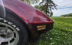 1981 Corvette Thumbnail 23