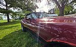 1981 Corvette Thumbnail 30