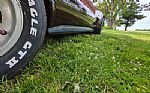 1981 Corvette Thumbnail 34