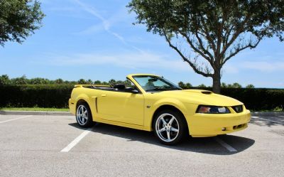 2001 Ford Mustang 2DR Convertible GT Del 2001 Ford Mustang 2DR Convertible GT Deluxe