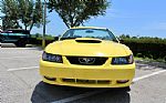 2001 Mustang 2dr Convertible GT Del Thumbnail 7