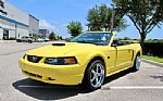 2001 Mustang 2dr Convertible GT Del Thumbnail 8