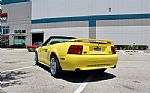 2001 Mustang 2dr Convertible GT Del Thumbnail 12